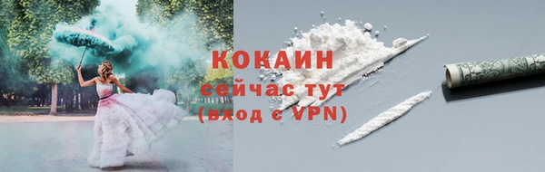 прущая мука Инта
