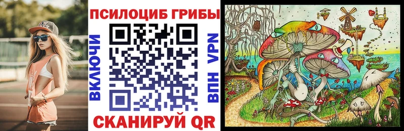 Псилоцибиновые грибы Psilocybine cubensis  Купить  Кировск 